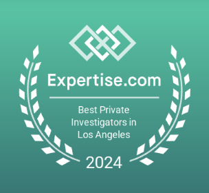 Best Private Investigator by Expertise