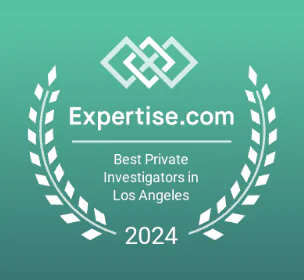 Best Private Investigator by Expertise